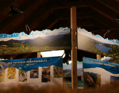 Exposition : Paysages Mobilisés<p class=