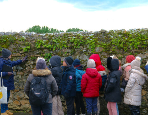 Retour sur une belle expérience pédagogique<br><p class=