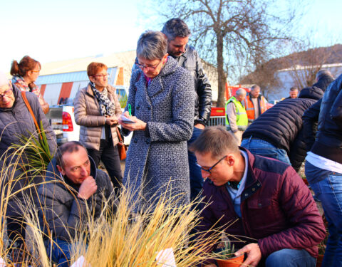 Journée “Plantes & Savoirs”<br></span><p class=