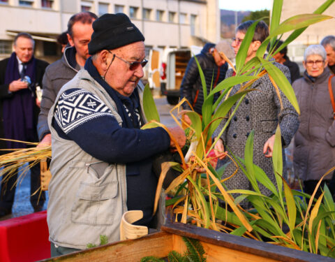 Journée “Plantes & Savoirs”<br></span><p class=