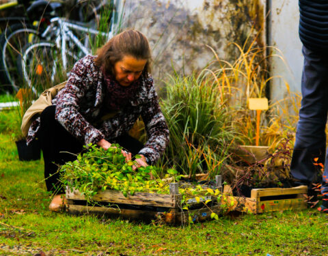 Journée “Plantes & Savoirs”<br></span><p class=