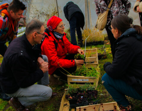 Journée “Plantes & Savoirs”<br></span><p class=