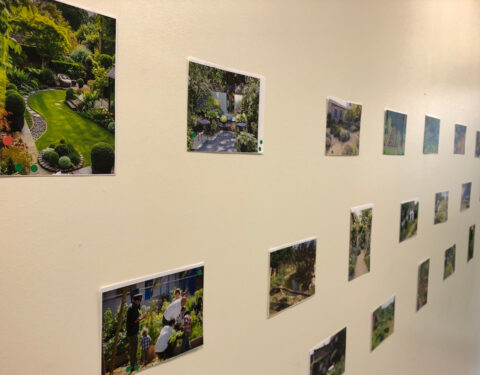 Atelier Jardin & Paysage<br><p class=