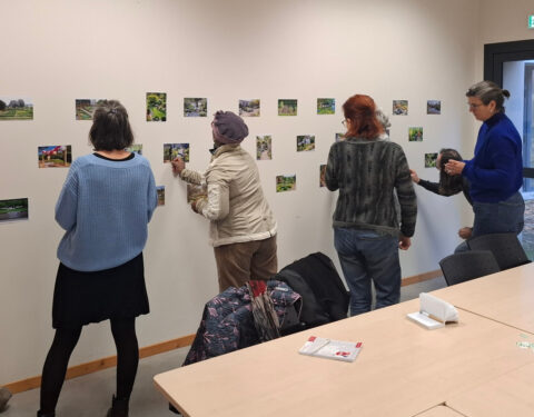 Atelier Jardin & Paysage<br><p class=